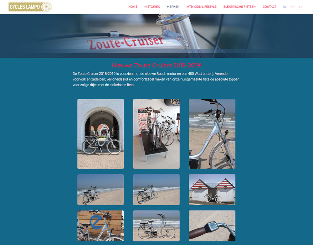 Bliss portfolio website Cycles Lampo