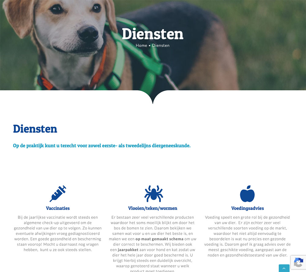 Portfolio Bliss, Dierenarts Ilse Kerckhof