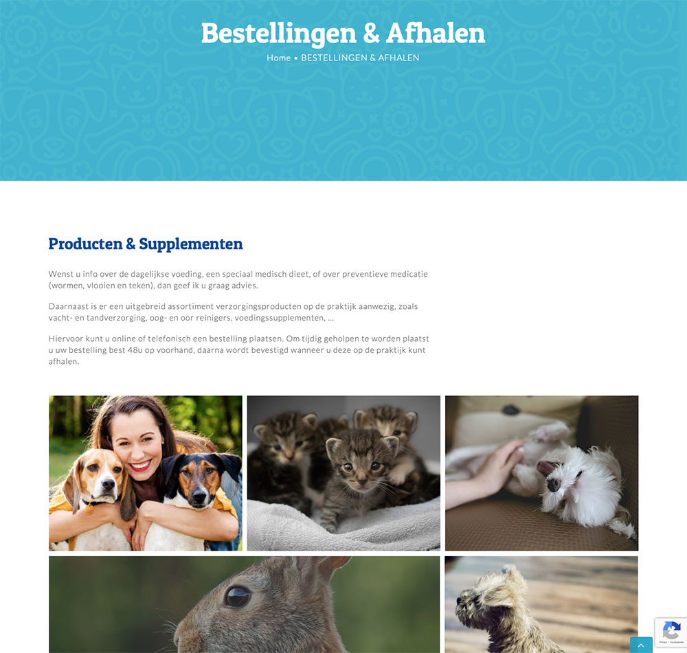 Portfolio Bliss, Dierenarts Ilse Kerckhof